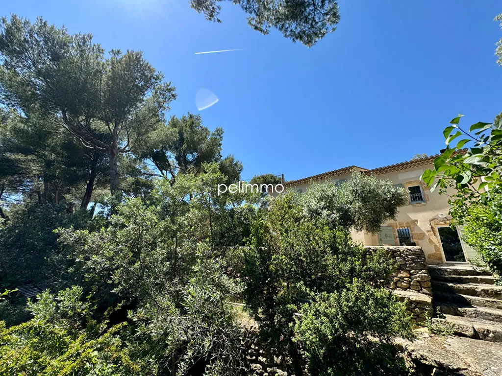 Esterno - Bastide with 8,000m² Garden in Salon-de-Provence