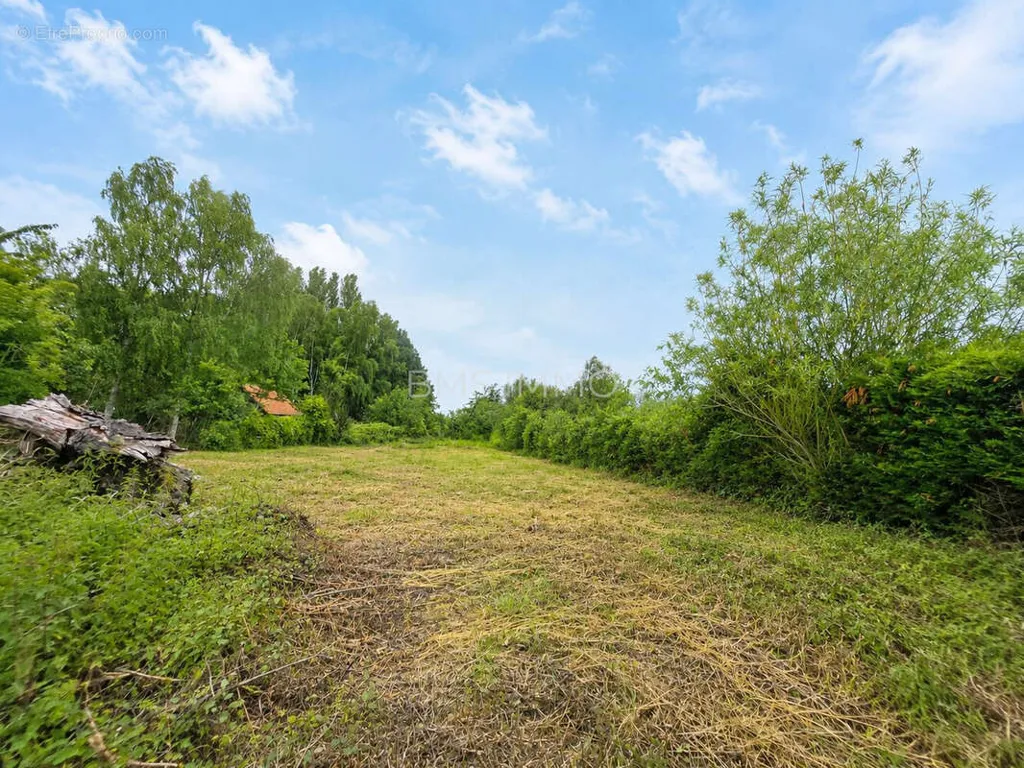 Jardin - Terrain avec Vue sur Clocher à Moncheaux