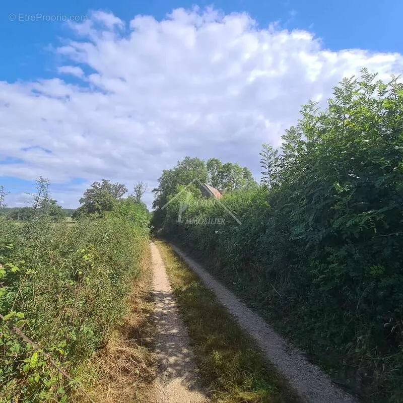 Garden - Rural Property with Panoramic Views in Gipcy