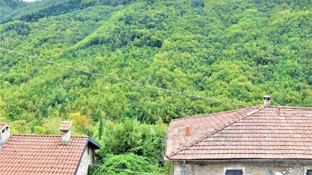 Välivaade - Rustic House with Terraced Garden in Comano