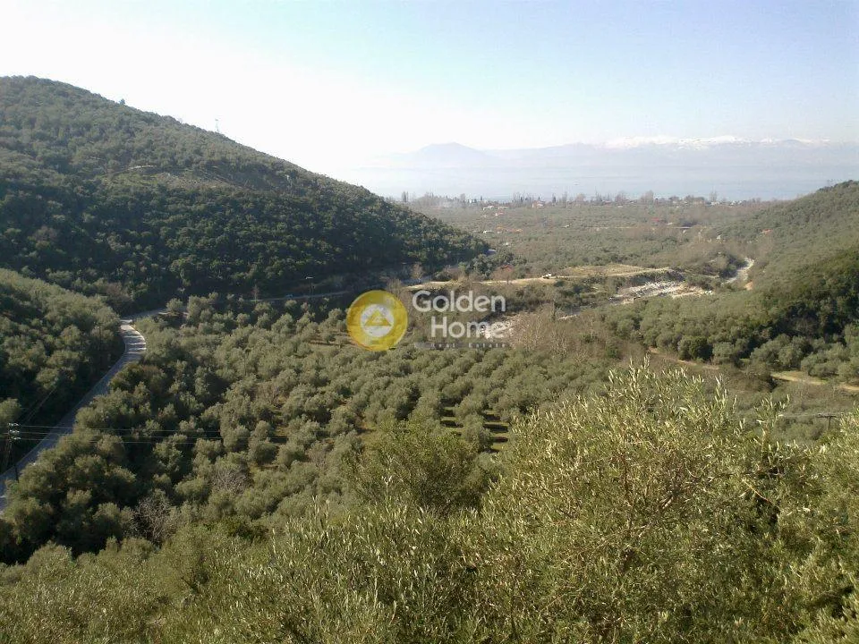 Jardin - Traditional Olive Grove with Panoramic Views in Pelion
