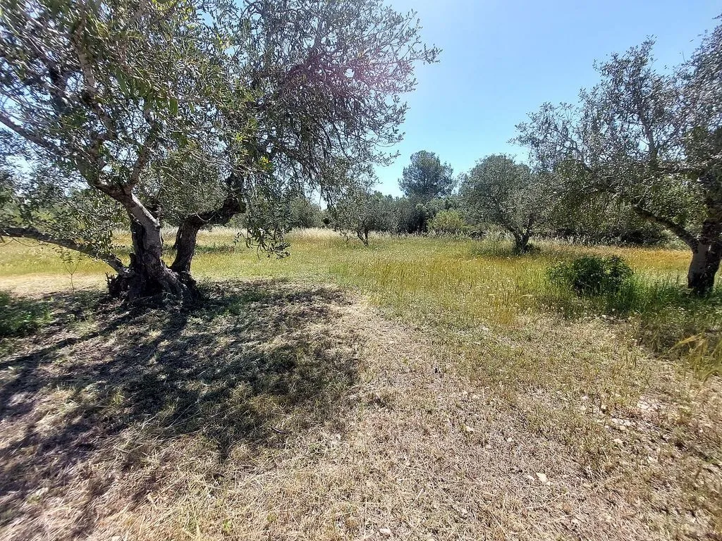 Jardin - Rustic Cottage with Mediterranean Garden in Mont-Roig