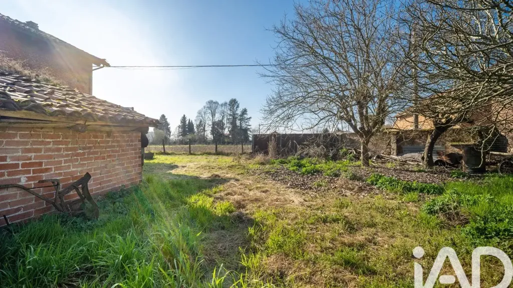 Giardino - Villa with Garden in Crescentino