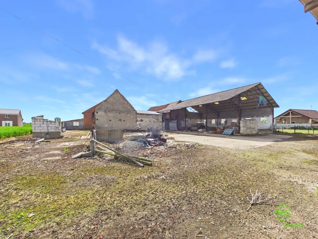 Garden - Renovatable House with Large Plot in Sint-Truiden
