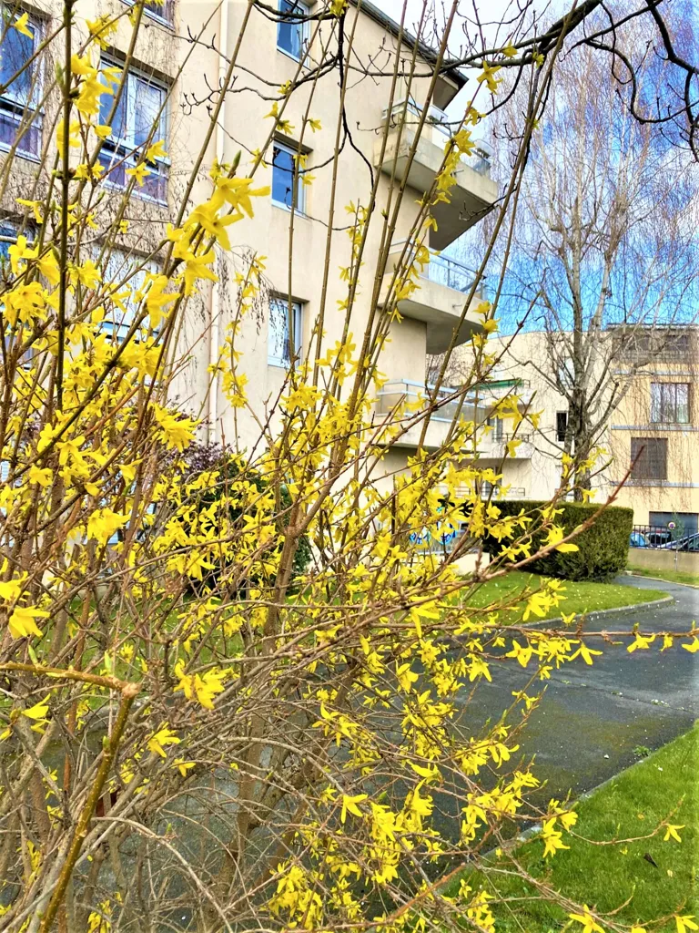 Extérieur - Appartement avec Terrasse Sud-Ouest au Kremlin-Bicêtre