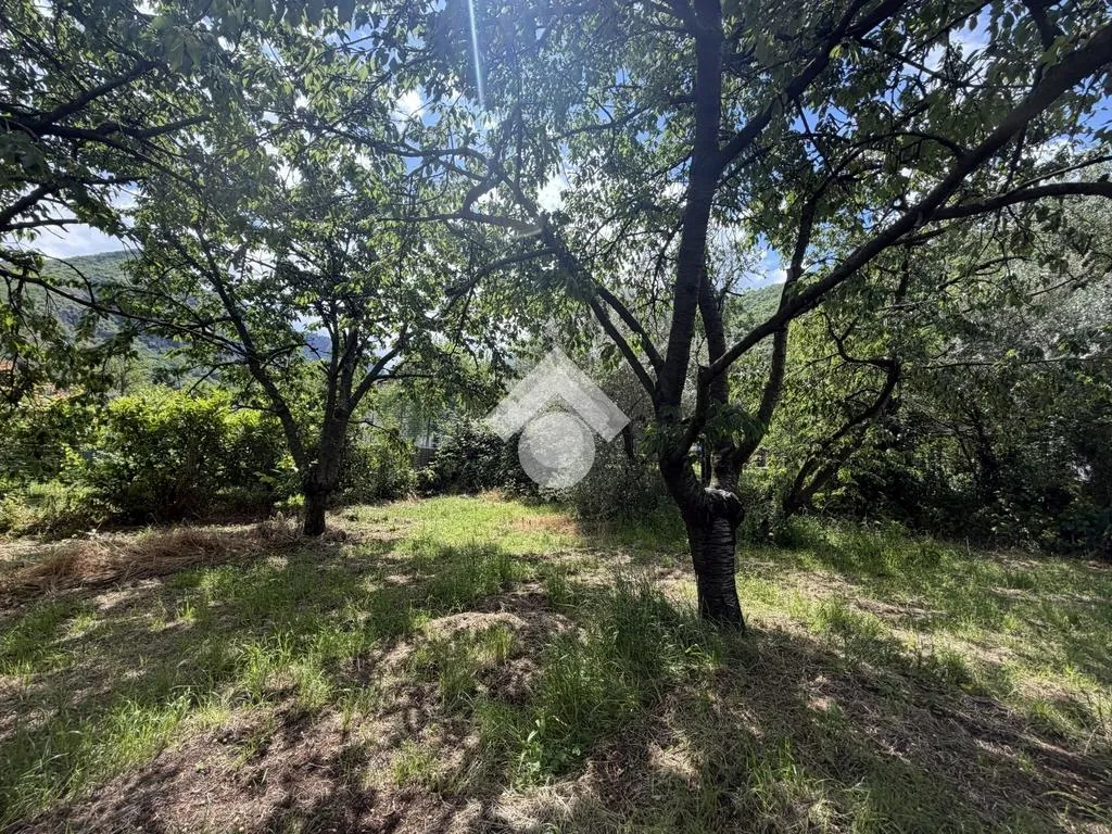 Jardin - Agricultural Land with Cherry Trees in Cervinara