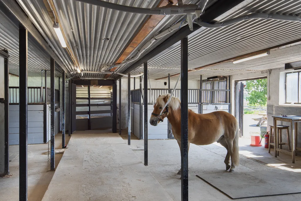 Toad - Equestrian Estate with Stables in Kolbäck