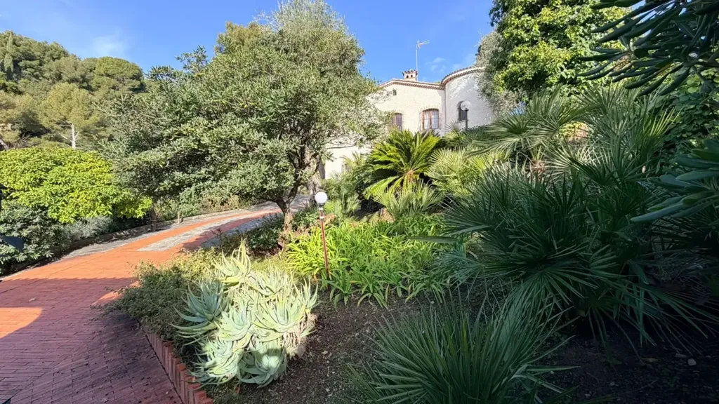 garden