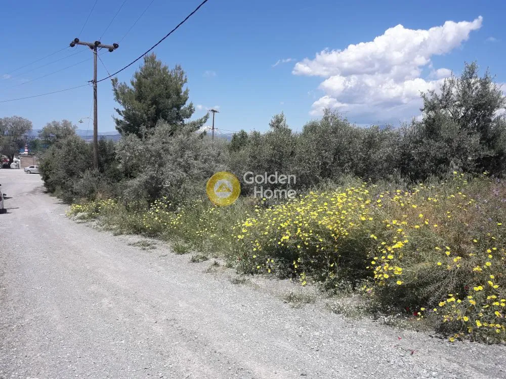 Aed - Seafront Plot with Potential in Dilessi