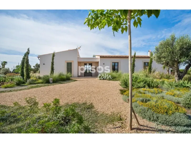 Exterior - Newly Built Finca with Pool in Campos