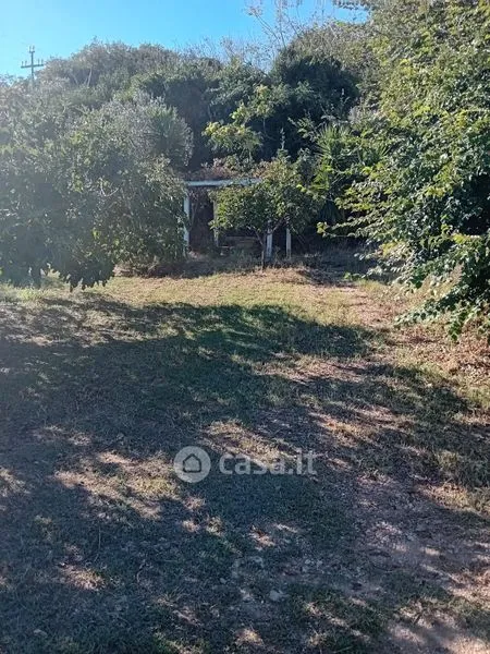 Jardin - Rustic-Chic Villa with Pool in Fossacesia