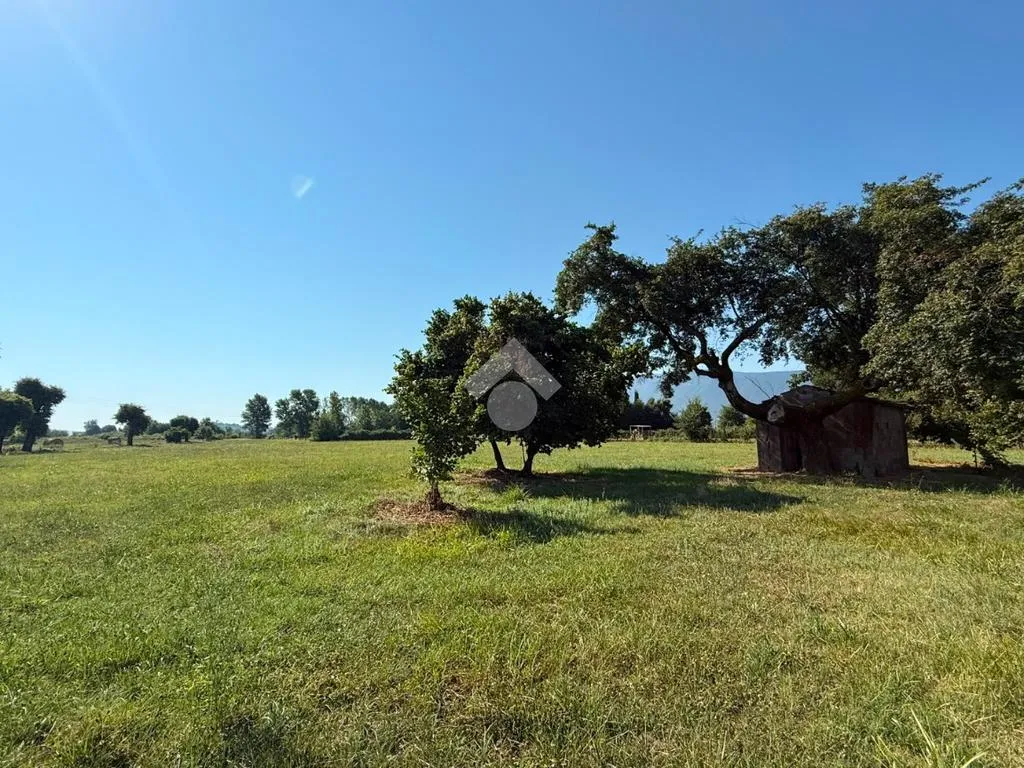 Giardino - Rustico with Large Flat Land in Anagni