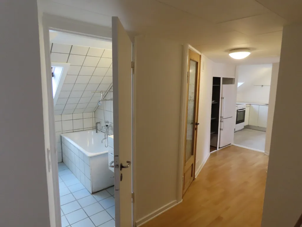 Ingresso - Old-Style Flat in Central Location