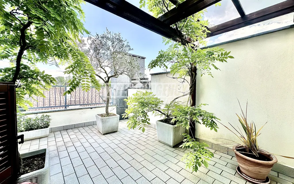 terrace_patio