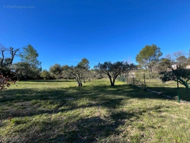 Tutte le foto (4) - Plot with Olive Trees near Flayosc Centre