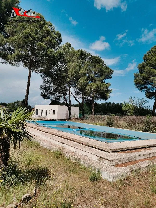 Piscina - Chalet with Pool in Santa Teresa