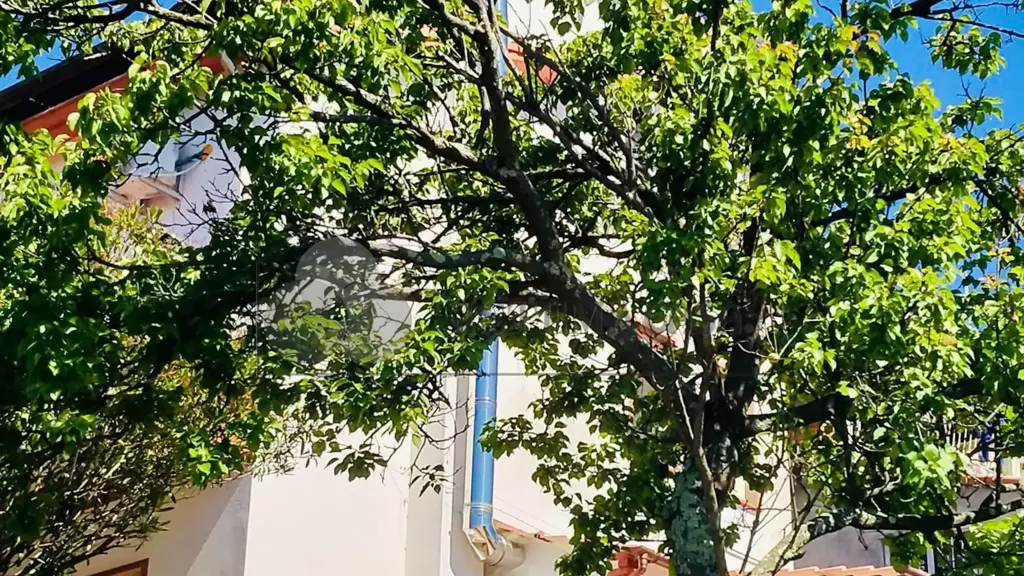 Välivaade - Villa with Sea View in Vezzano Ligure