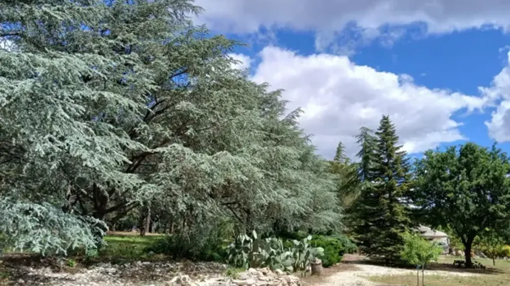Jardin - Rustic Chalet with Botanical Garden in Andria