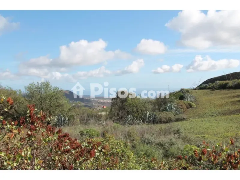 Jardin - Container House with Private Garden in Telde