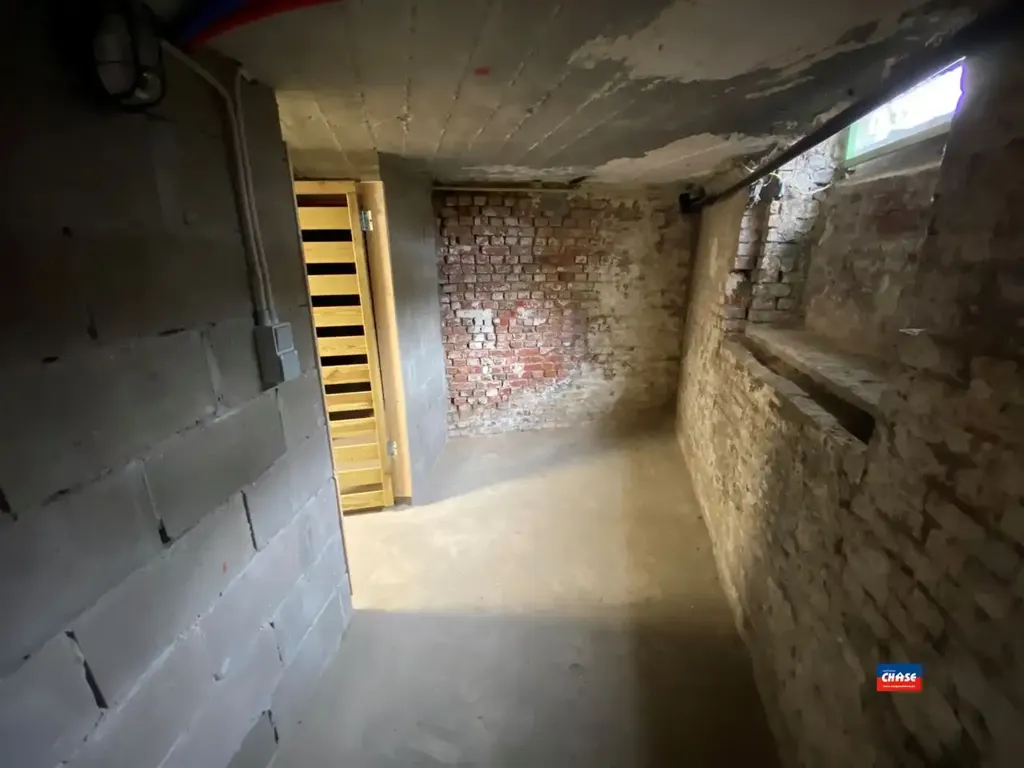 cellar