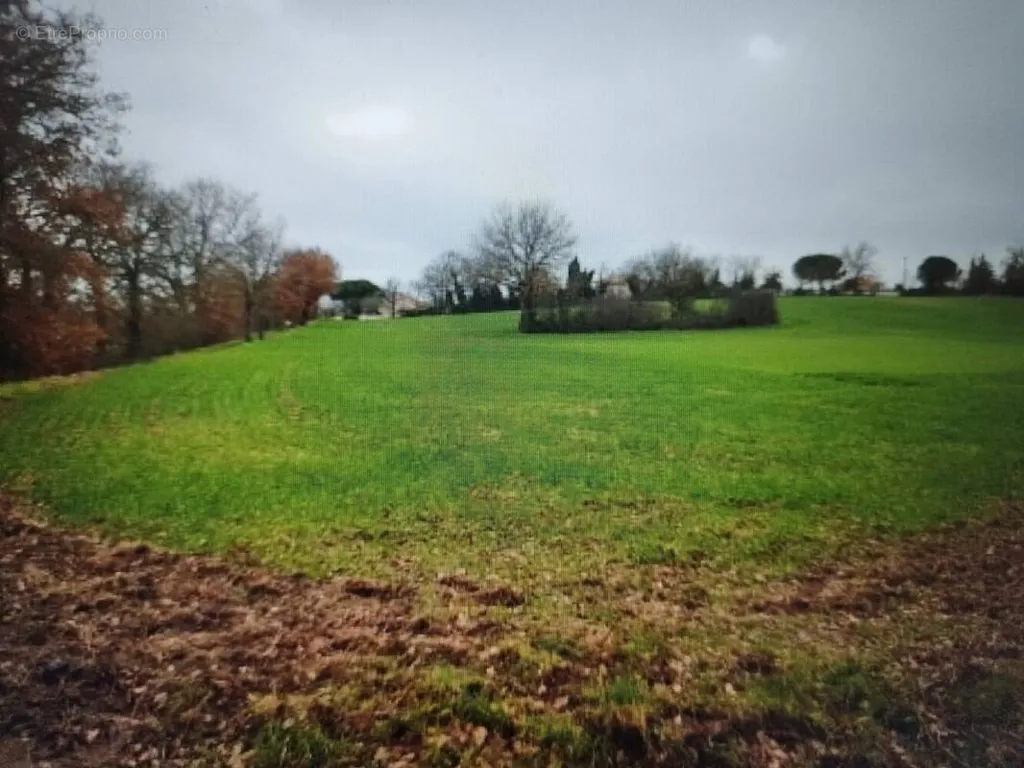 Aed - Constructible Plot in Quiet Gratens