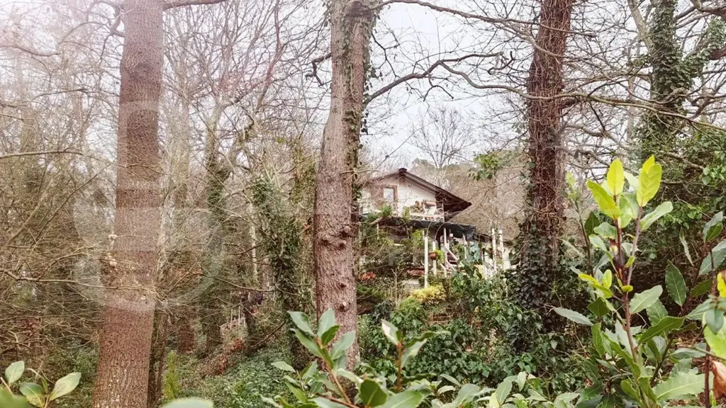 Aed - Rustic House with Garden in Collesalvetti