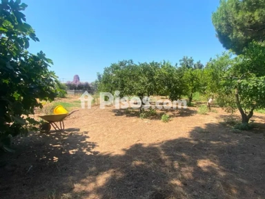 Garden - Rustic House with Pool in Dos Hermanas