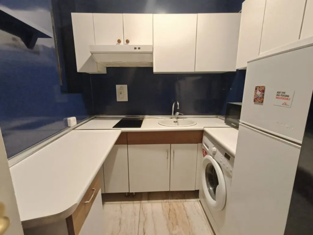 Kitchen - Reformable Flat with Guggenheim Views in Abando