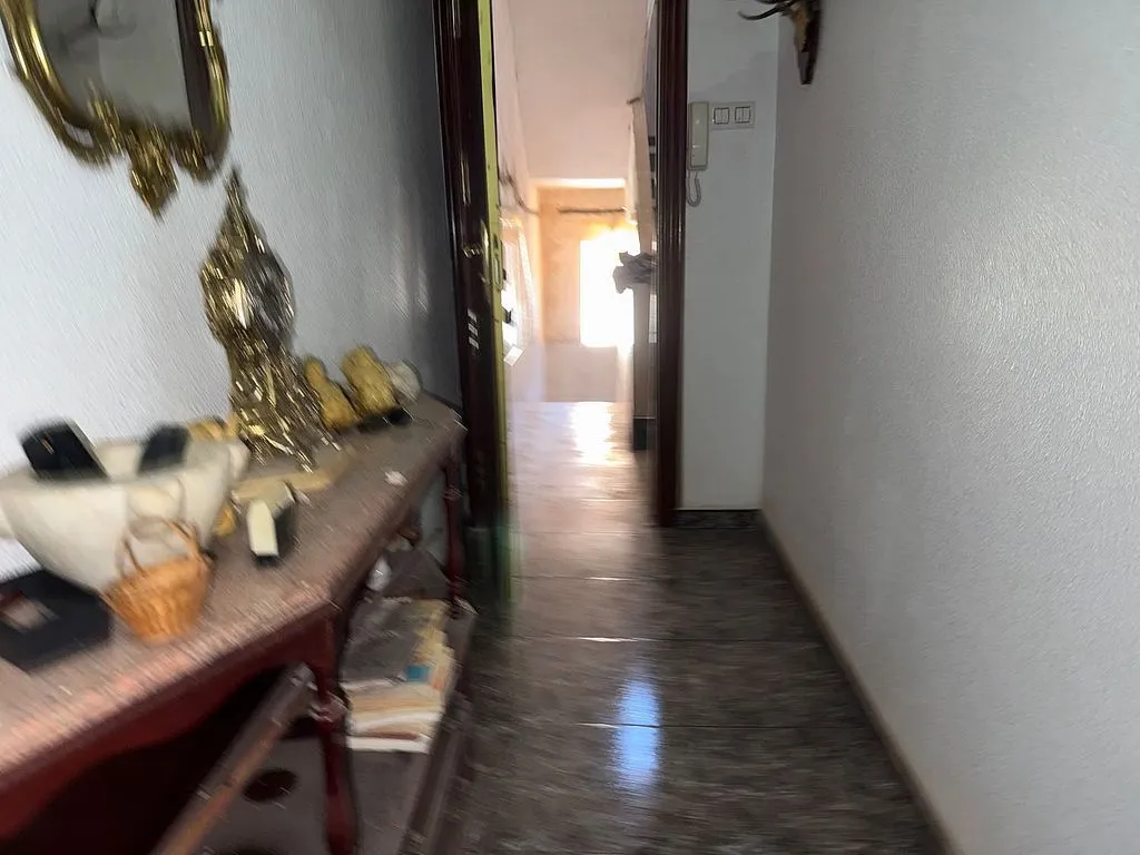 Entrée - 6-Bedroom Flat with Private Patio in Los Dolores