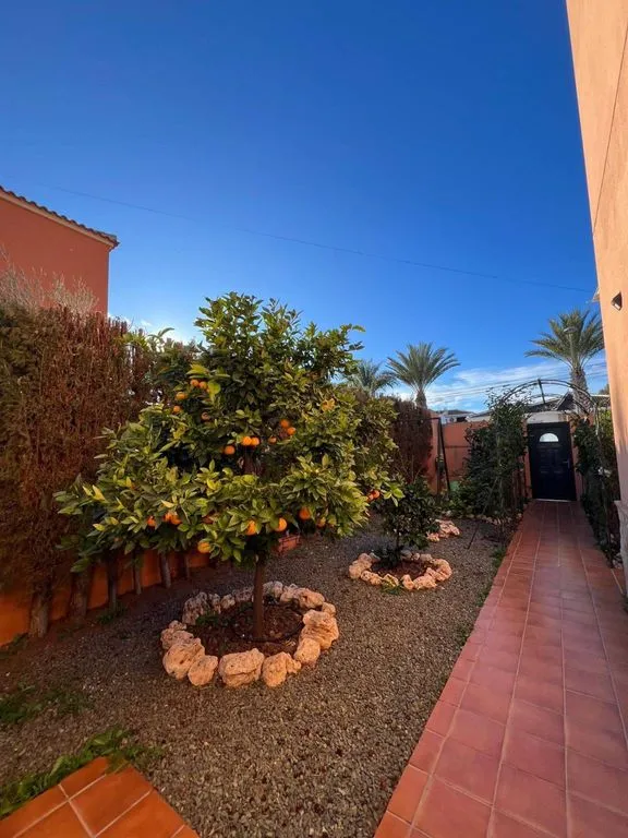 Jardin - Luxury House with Pool in Torrevieja