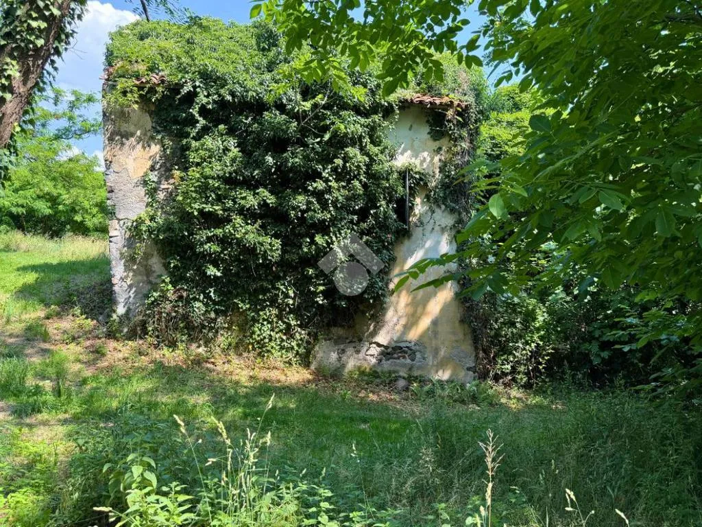 Garden - Rustic Cottage with Garden in Colceresa