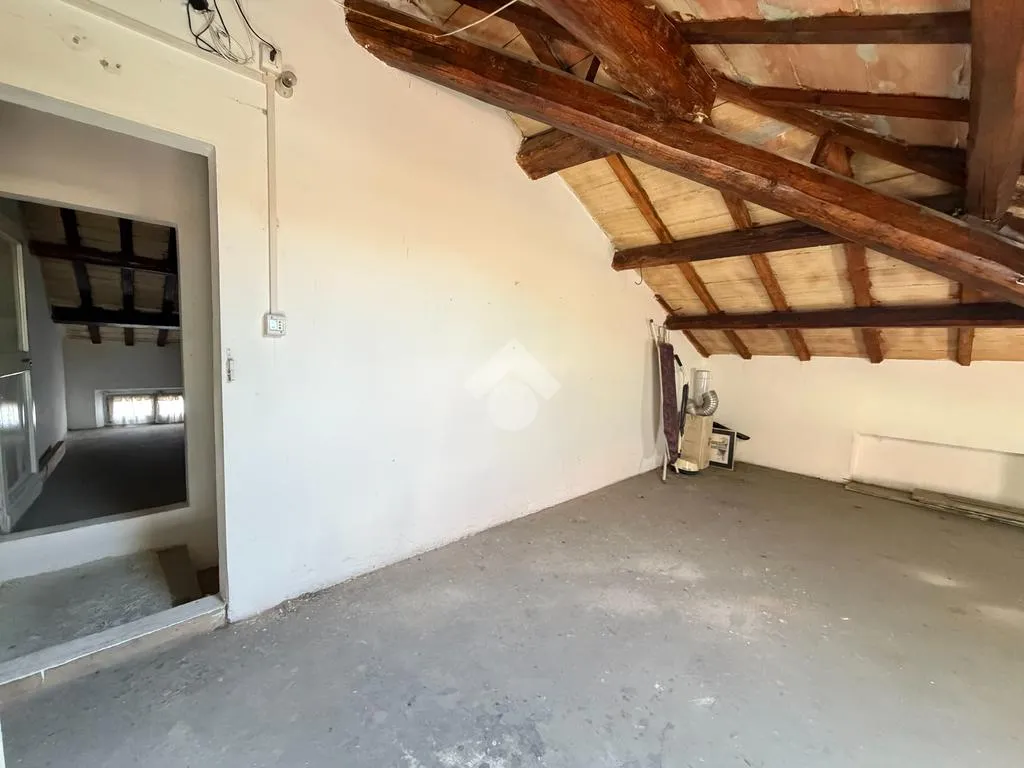 Toad - Corner Semi-Detached Villa with Private Garden in Pesaro