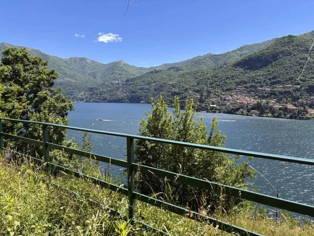 Jardin - Early 20th-Century Villa with Lake Views in Moltrasio