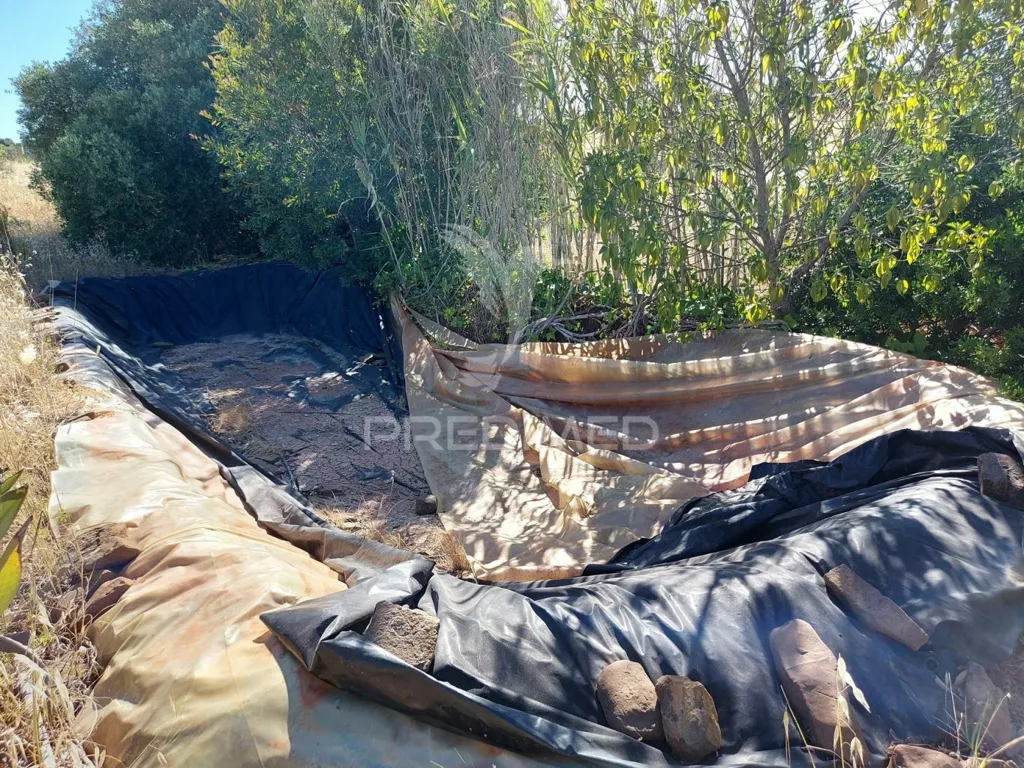 Aed - Delimited Land with Fruit Trees near Lagos