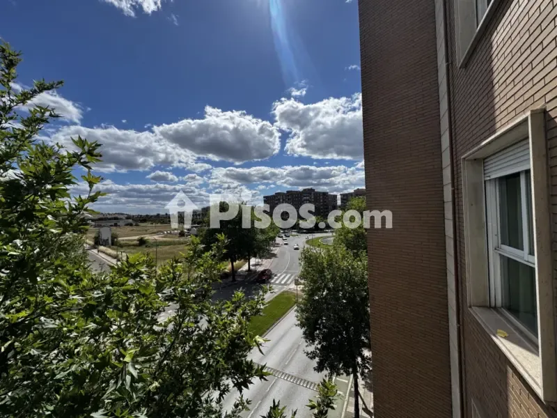 Balcone - Ample Flat with Balcony in Calle Salvaleón