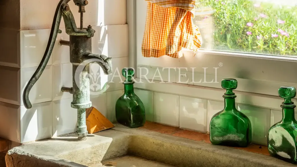 Vannitoad - Historic Villa with Olive Grove in Capannori