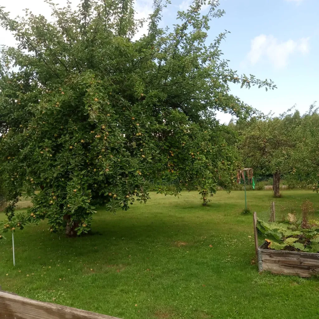 Jardin - Detached House with Garden in Hyllinge
