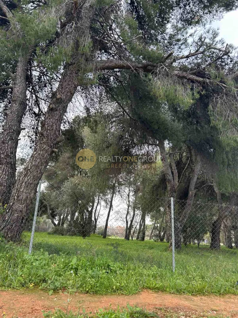 Giardino - Buildable Plot with Panoramic View in Kifissia