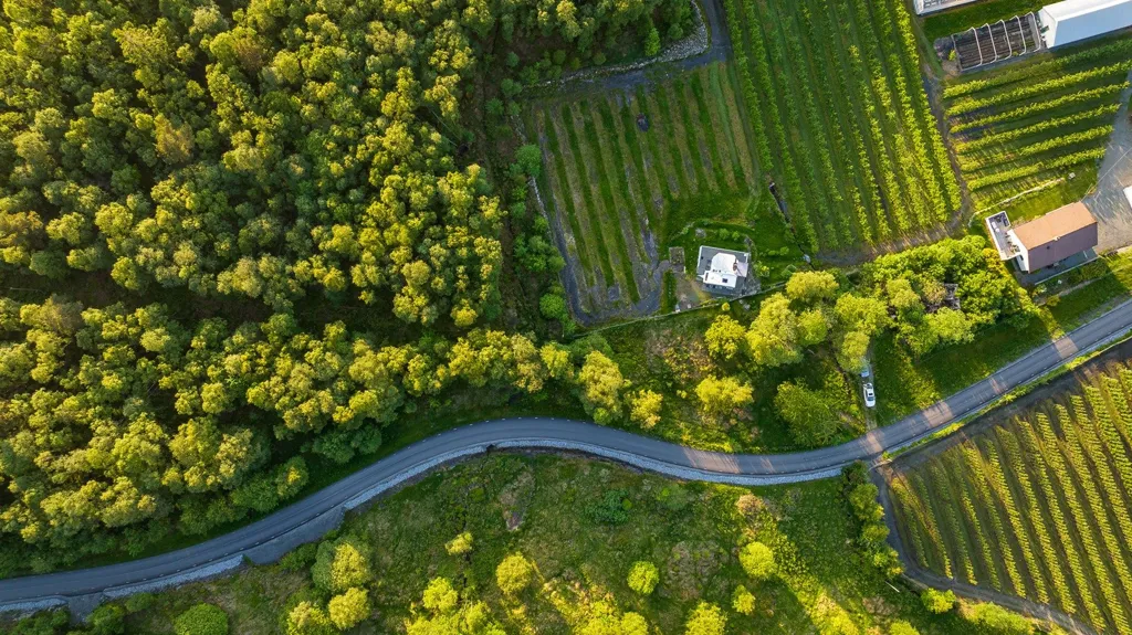 land_plot