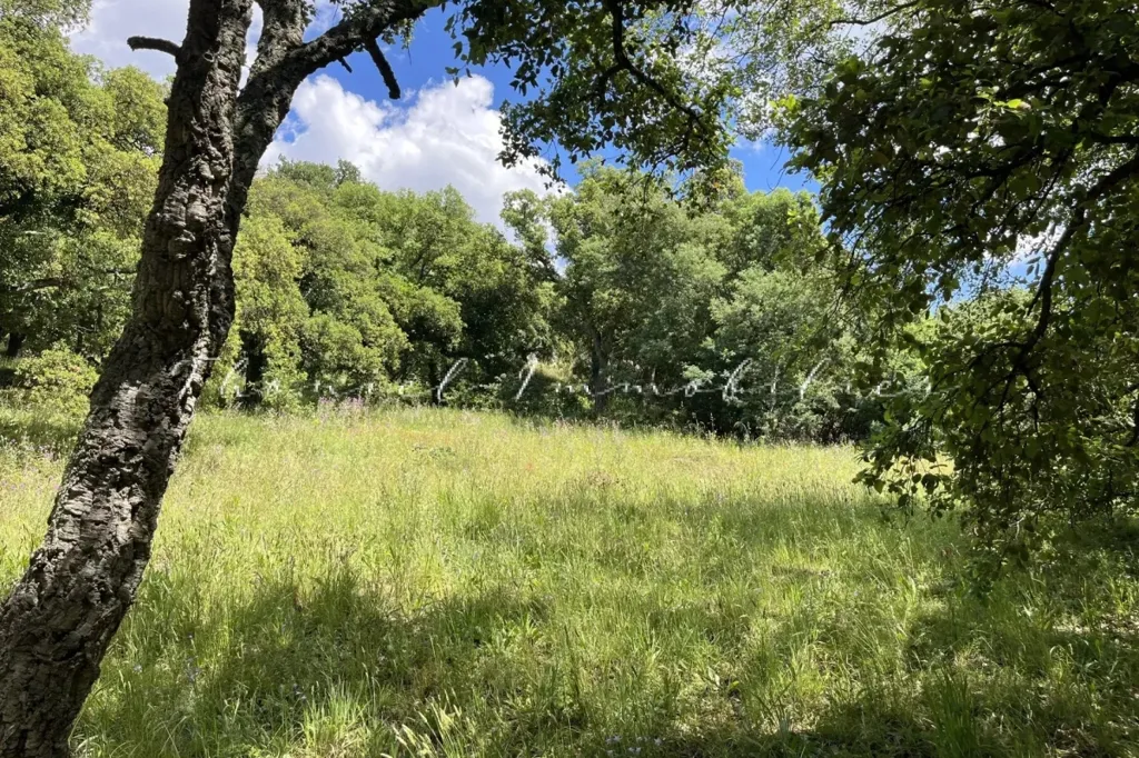 Jardin - Terrain à Bâtir avec Vue sur Château à Grimaud