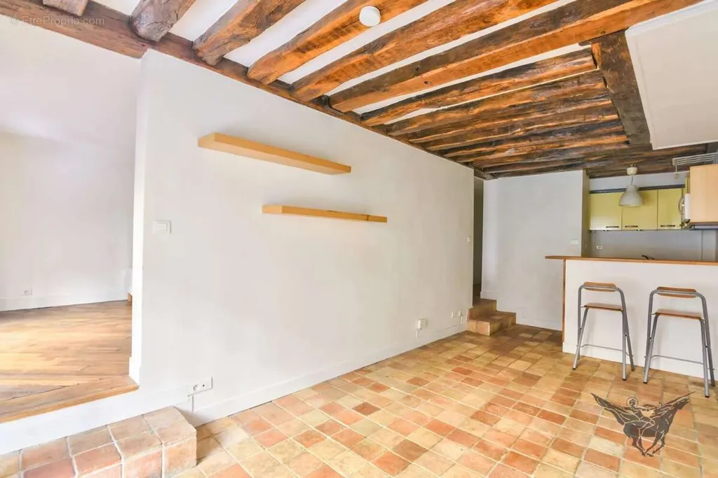 Séjour - Appartement Ancien avec Cuisine Ouverte 10ème Arrondissement