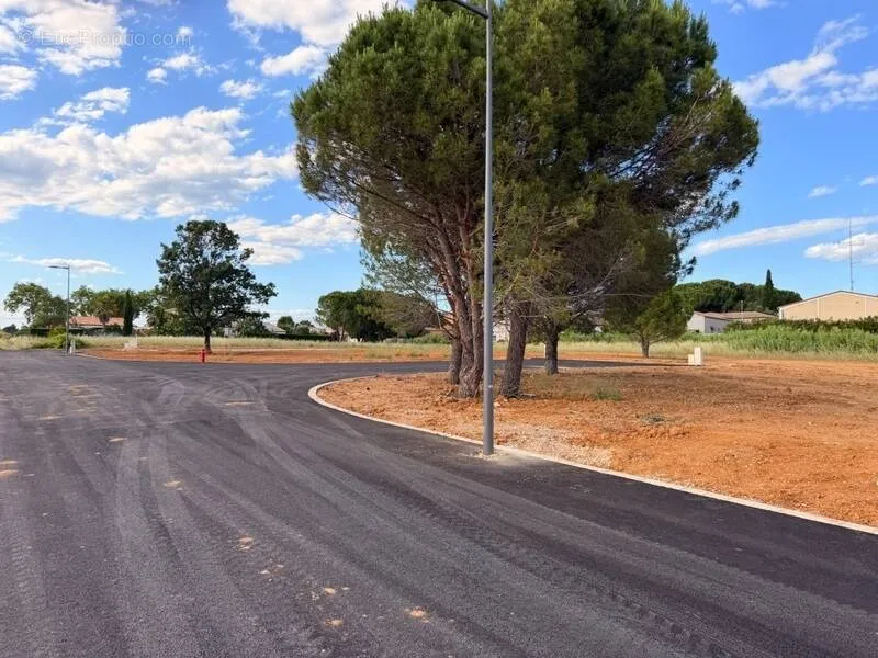 Terrain Viabilisé pour Activité Artisanale à Alignan-du-Vent