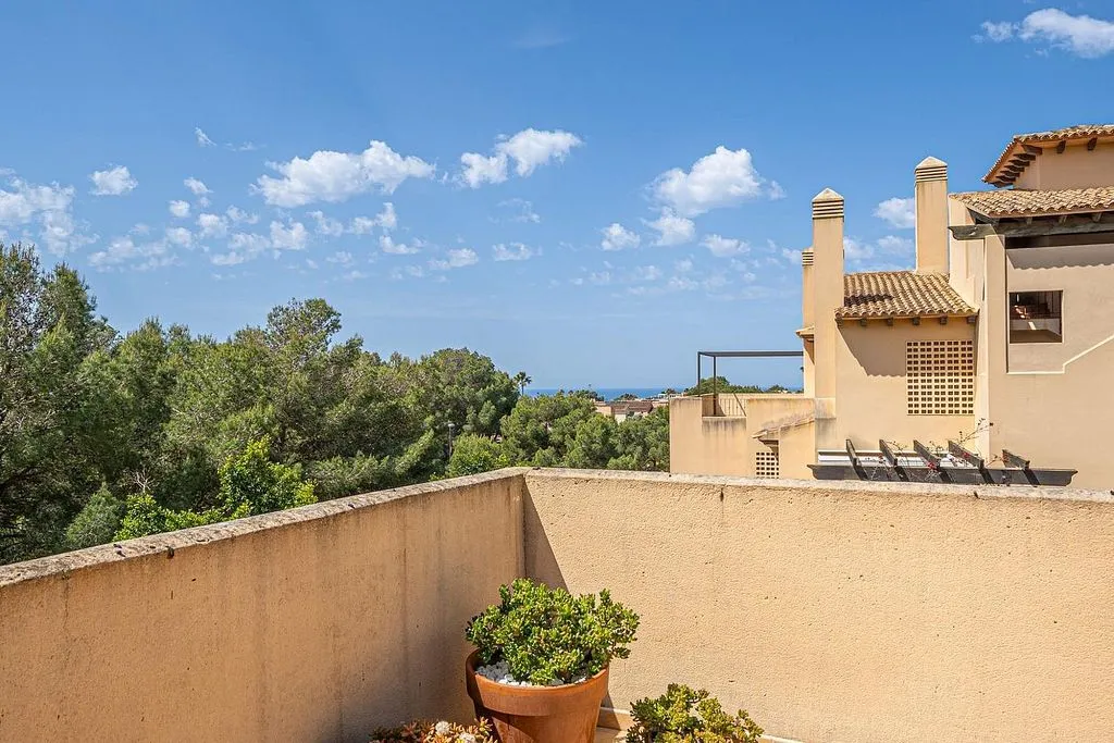 terrace_patio