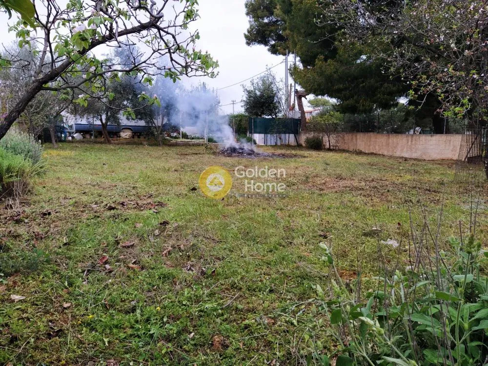 Jardin - Agricultural Plot with Sea View in Artemida