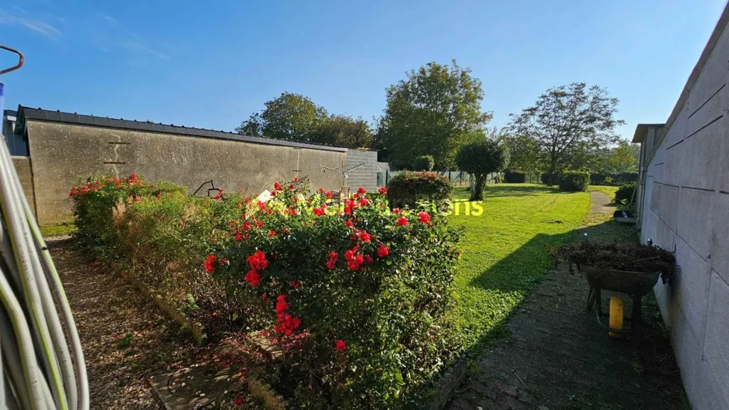 Jardin - Maison Individuelle avec Jardin à Louvignies