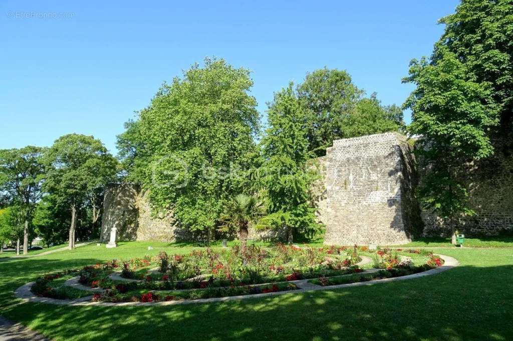 garden