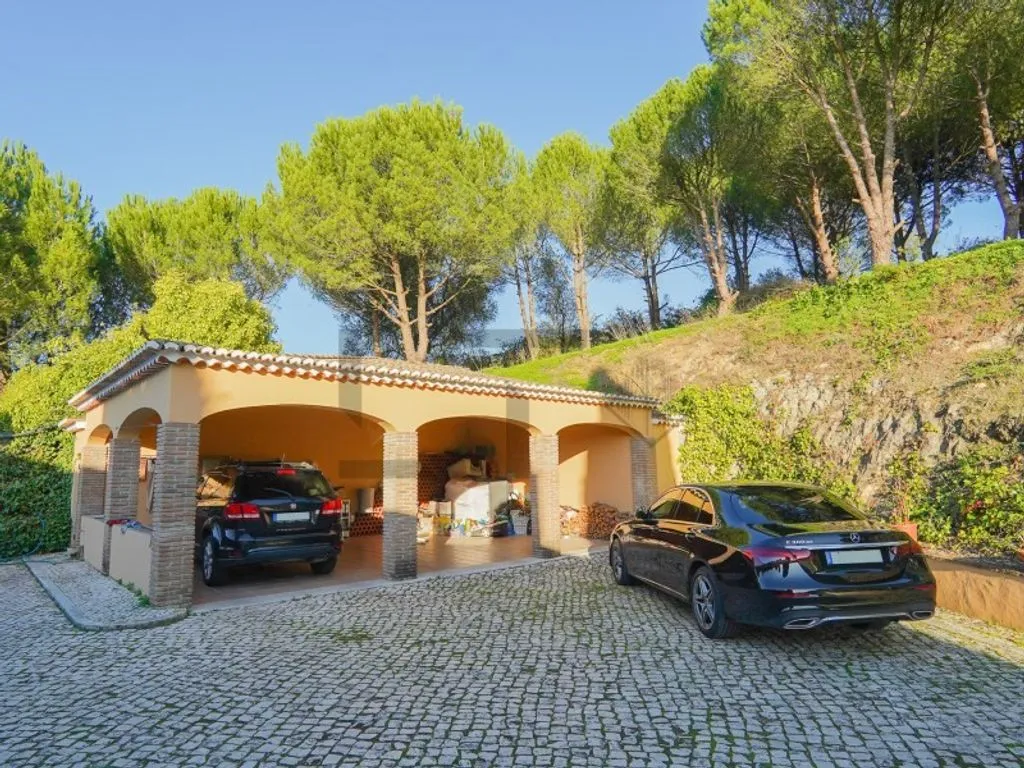 Extérieur - Farm with Pool and Vineyard in Azeitao