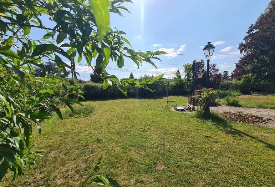 Giardino - 720 m² Plot with Garden in Rueil-Malmaison