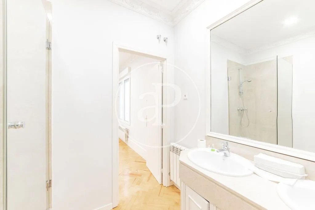 Bathrooms - Luxury Apartment with Classic Façade in Madrid