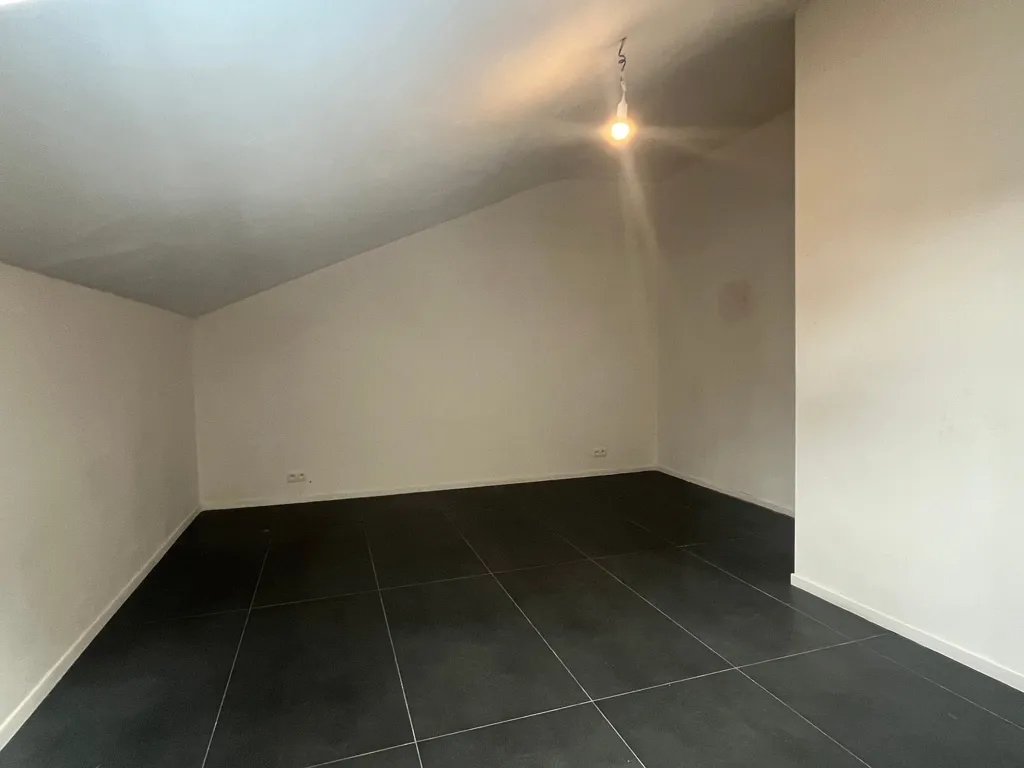 Toad - Fully Renovated Investment Property in Nice